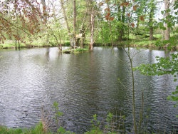 09_03_02_02_Garten_Herrenhaus_3.jpg